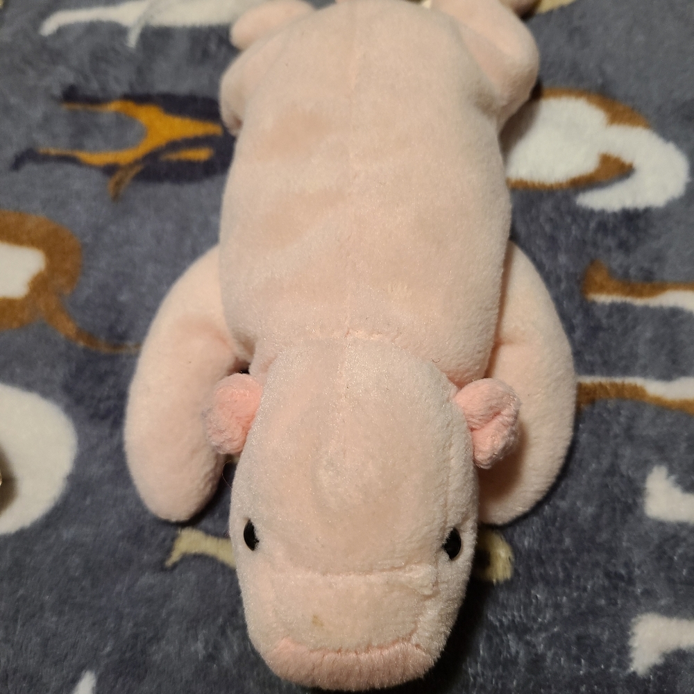 SQUEALER The pig. The Beanie Babies collection